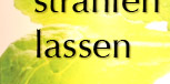 Muntelier individuelle Schlüsselanhänger